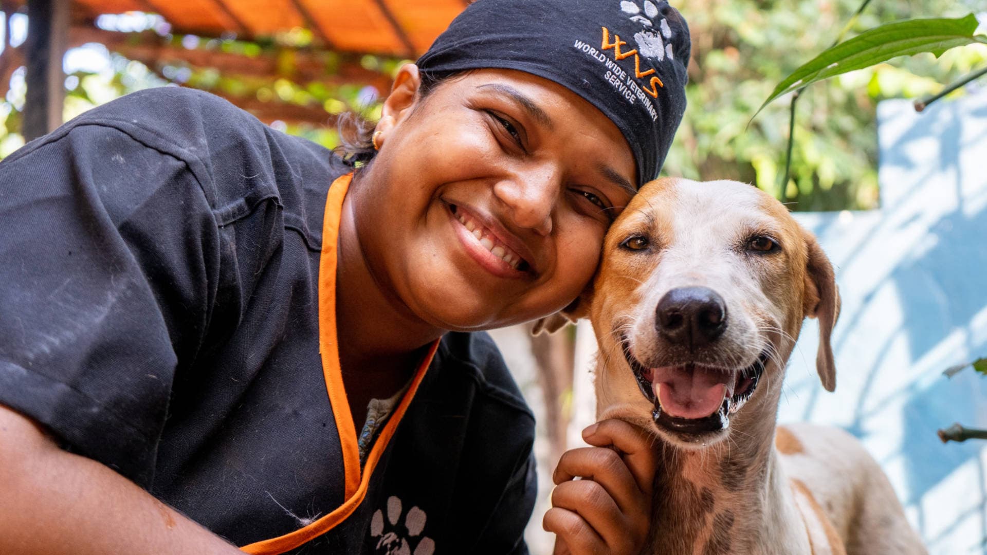 Worldwide Veterinary Service (WVS)